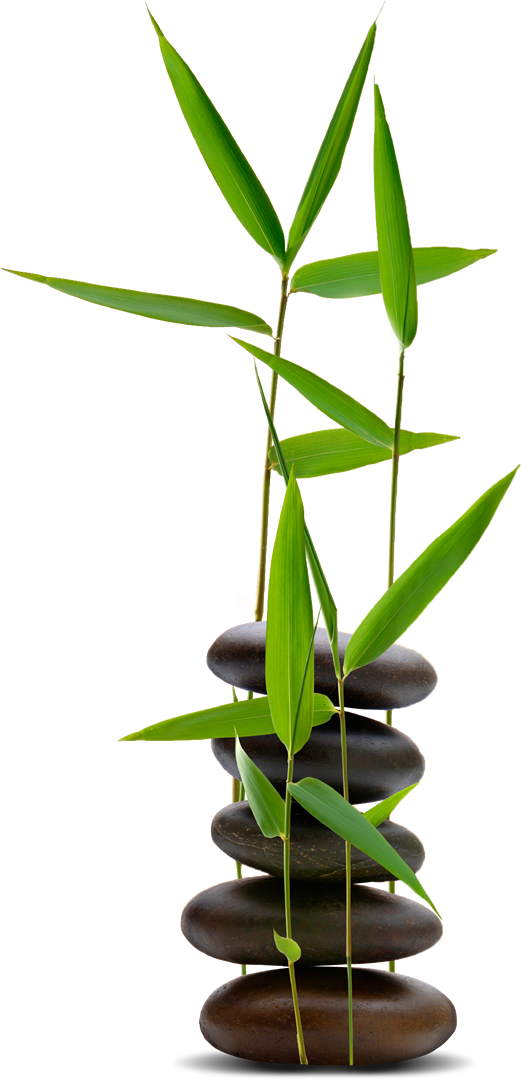 Bamboo Restaurants  -  Изработка на сайт, мобилно приложение, онлайн магазин от СтудиоУЕБ.БГ